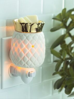 Candle Warmers Pluggable Fragrance Warmer